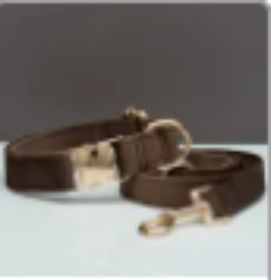 Collar Velvet Leash Set & Bow With Multiple Color and Personalize (Option: Brown set-S)