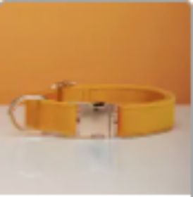 Collar Velvet Leash Set & Bow With Multiple Color and Personalize (Option: Yellow-S)