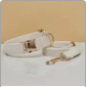 Collar Velvet Leash Set & Bow With Multiple Color and Personalize (Option: White set-S)