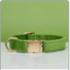 Collar Velvet Leash Set & Bow With Multiple Color and Personalize (Option: Green-S)