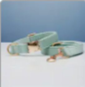 Collar Velvet Leash Set & Bow With Multiple Color and Personalize (Option: Cyan set-L)