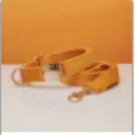 Collar Velvet Leash Set & Bow With Multiple Color and Personalize (Option: Yellow set-XS)