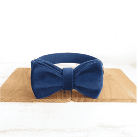 Collar For all Sizes, pet traction (Option: Bow Tie plus Collar-L)